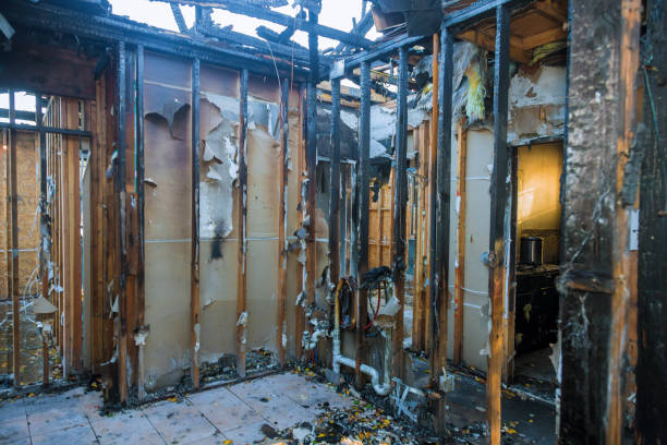 Professional Emergency Fire Cleanup technician working in Harmans, MD